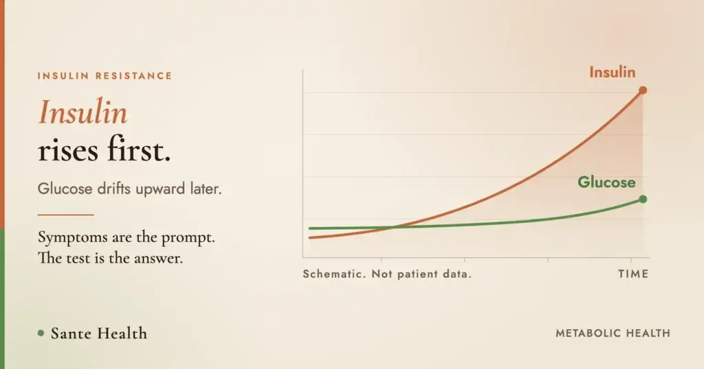 Schematic chart showing insulin rising steeply while glucose drifts up later, labelled as not patient data